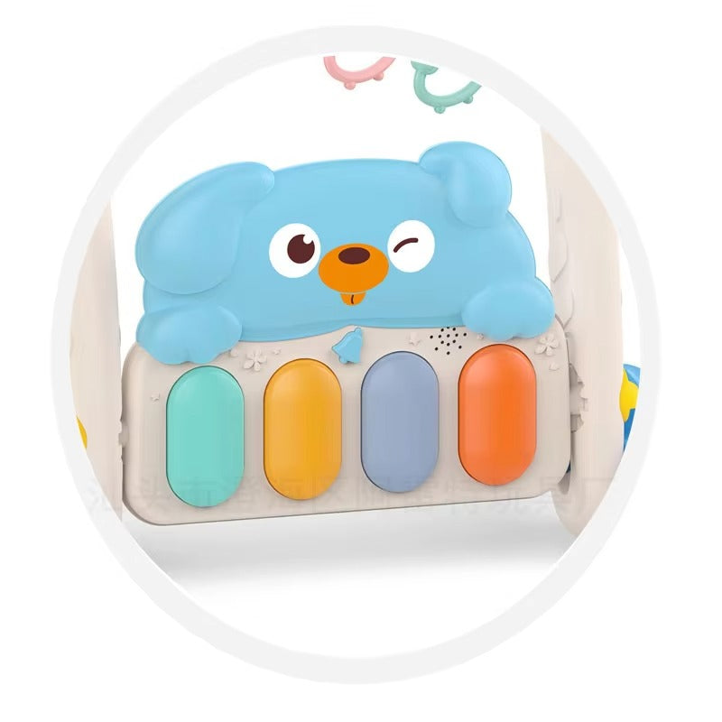 2 in 1 Baby Piano Rack & Walker (imported)